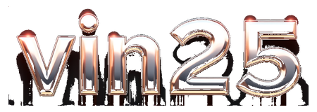 vin25 logo